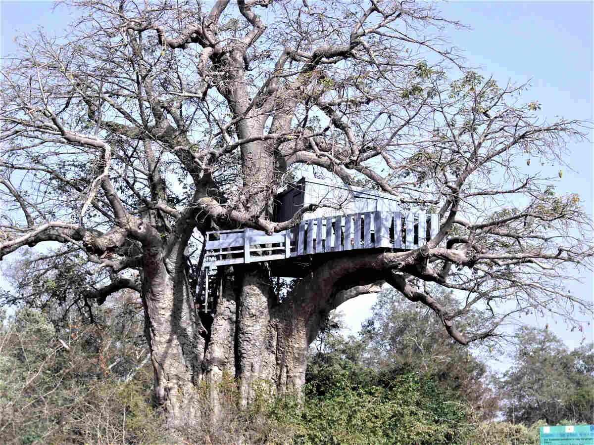 Parc du W - Agence de Promotion Touristique du Niger